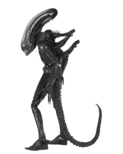 Alien Big Chap 1/4 Af Rerun