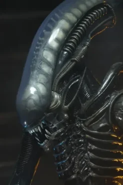 Alien Big Chap 1/4 Af Rerun