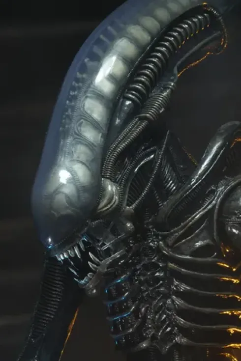 Alien Big Chap 1/4 Af Rerun
