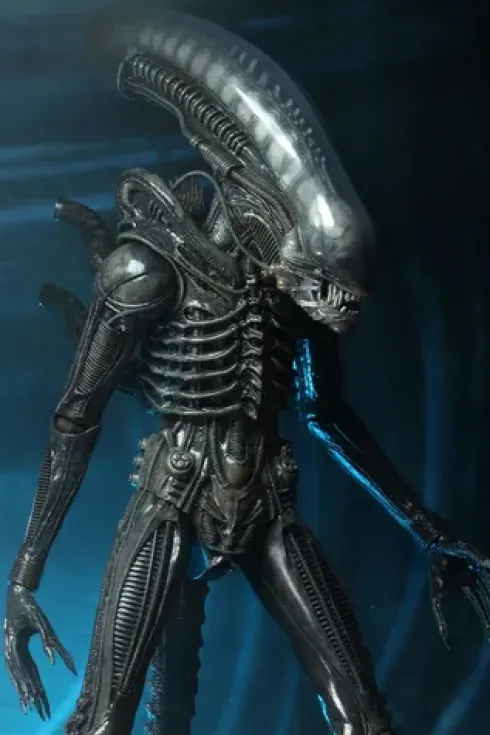 Alien Big Chap 1/4 Af Rerun