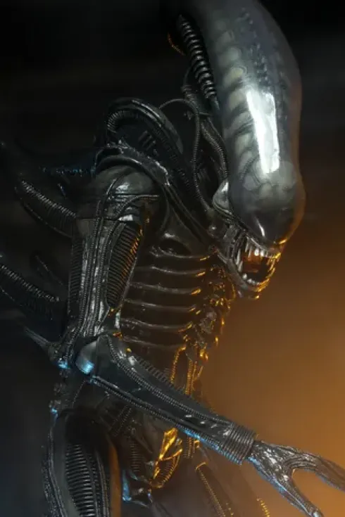 Alien Big Chap 1/4 Af Rerun