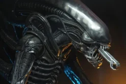 Alien Big Chap 1/4 Af Rerun