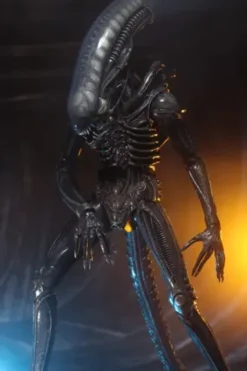 Alien Big Chap 1/4 Af Rerun