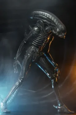 Alien Big Chap 1/4 Af Rerun