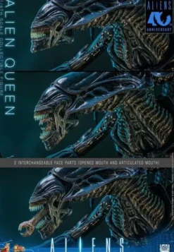 Alien Figura 1/6 Alien Queen 53 cm