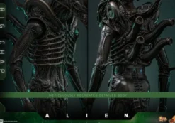Alien 1979 Figura Movie Masterpiece 1/6 Alien Big Chap