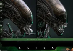 Alien 1979 Figura Movie Masterpiece 1/6 Alien Big Chap