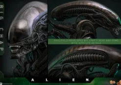 Alien 1979 Figura Movie Masterpiece 1/6 Alien Big Chap