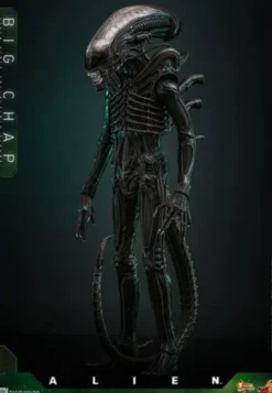 Alien 1979 Figura Movie Masterpiece 1/6 Alien Big Chap