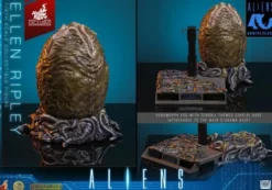 Alien Movie Masterpiece Figura 1/6 Ellen Ripley (Artisan Edition) Exclusive 30 cm