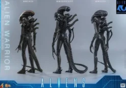 Alien Movie Masterpiece Figura 1/6 Alien Warrior (Deluxe Version) 39 cm