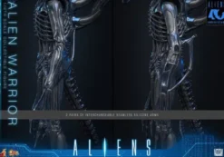 Alien Movie Masterpiece Figura 1/6 Alien Warrior (Deluxe Version) 39 cm