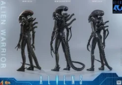Alien Movie Masterpiece Figura 1/6 Alien Warrior 39 cm