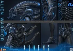 Alien Movie Masterpiece Figura 1/6 Alien Warrior 39 cm