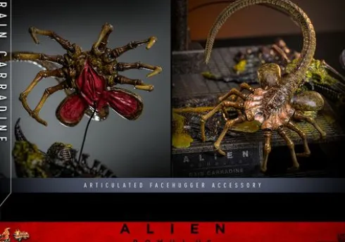 Alien Romulus Figura Movie Masterpiece 1/6 Rain Carradine