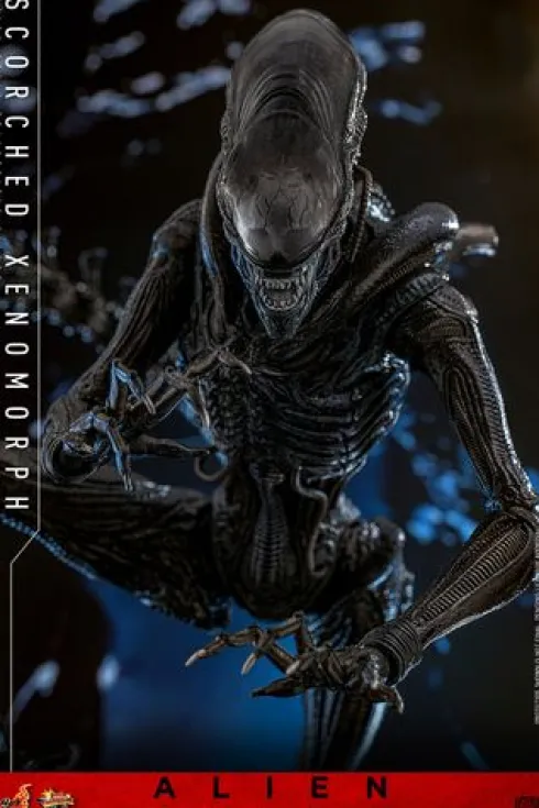 Alien Romulus Figura 1/6 Movie Masterpiece Scorched Xenomorph