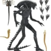 Alien: Romulus Figura Ultimate Xenomorph XX121 18 cm