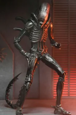 Alien: Romulus Figura Ultimate Xenomorph XX121 18 cm