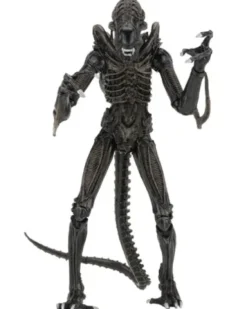 Aliens Alien Warrior Brown 1986 Ultimate Af