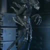 Aliens 40th Anniversary Warrior Xenomorph Black Ultimate Af