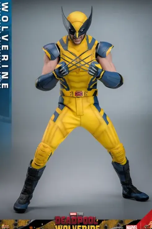 Deadpool & Wolverine Figura 1/6 Wolverine