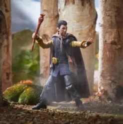 Dungeons & Dragons Golden Archive Simon