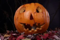 Halloween Statuette Jack-O-Lantern 31 cm