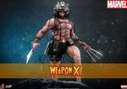 Marvel Comic Masterpiece Figura 1/6 Weapon X 31 cm