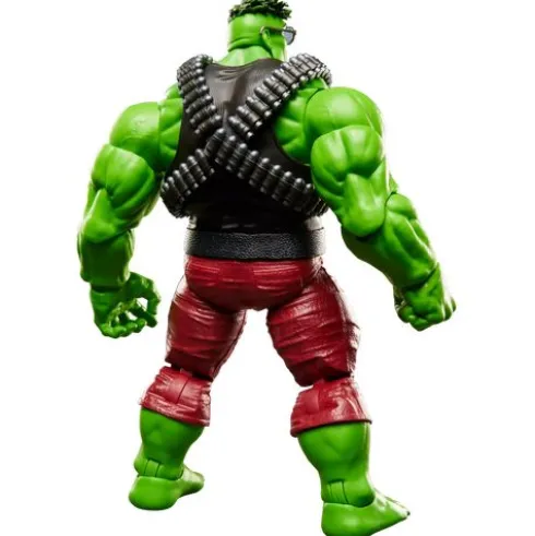 Marvel Legends Series Professor Hulk