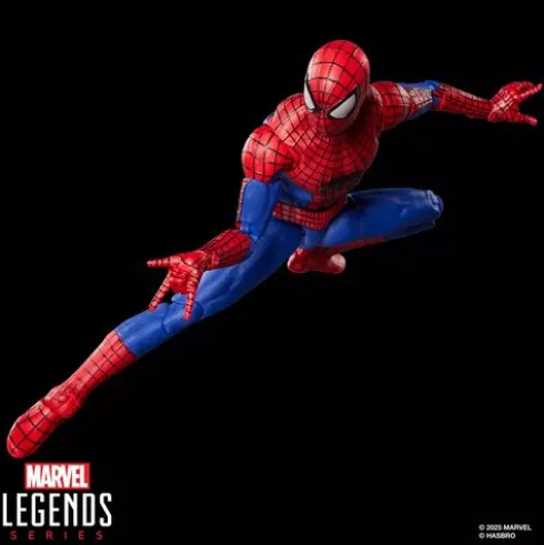 Marvel Legends Series The Amazing Spider-Man