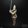 Star Wars The Black Series Ki Adi Mundi