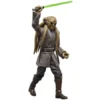 Star Wars The Black Series Kit Fisto