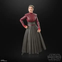 Star Wars The Black Series Morgan Elsbeth