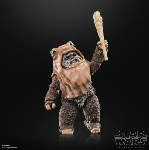 Star Wars The Black Series Wicket 40th