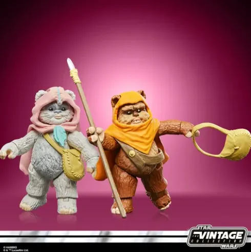 Star Wars The Vintage Collection Wicket & Kneesaa