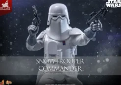 Star Wars V Action Figure 1/6 Snowtrooper Commander Hot Toys Exclusive 30 cm