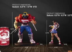 Street Fighter Street Jam Estatuas 1/10 Sakura & Sodom 22 cm