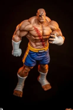 Street Fighter Street Jam Estatuas 1/10 Sagat & Juli 24 cm