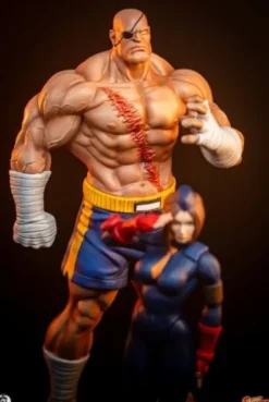 Street Fighter Street Jam Estatuas 1/10 Sagat & Juli 24 cm
