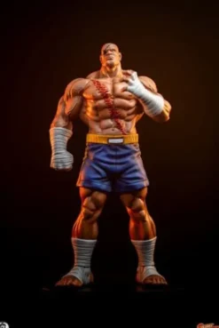 Street Fighter Street Jam Estatuas 1/10 Sagat & Juli 24 cm
