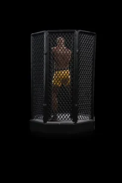 UFC Estatua 1/10 Deluxe Art Scale Anderson «Spider» Silva – Signed Version 22 cm
