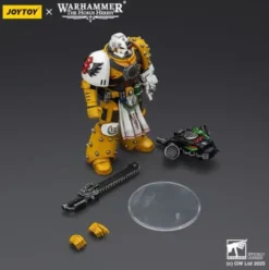 Warhammer 40,000: imperial Fists Figura Legion Apothecary 12 cm