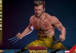 Wolverine (TVA Jacket Version) Figura Movie Masterpiece 1/6 Deadpool and Wolverine Hot Toys