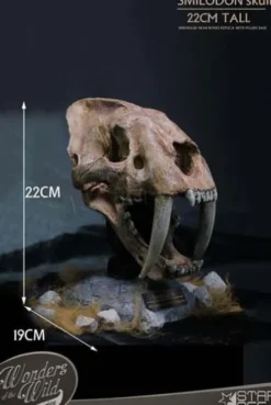 Wonders of the Wild Series Estatua Smilodon Skull Fossil 22 cm